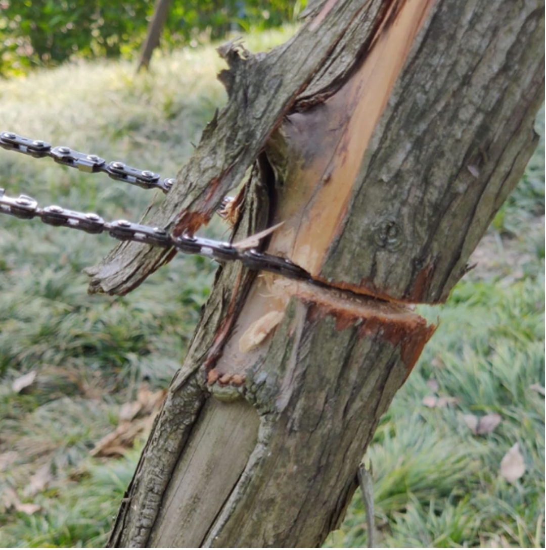 اره زنجیری دستی - تصویر 4